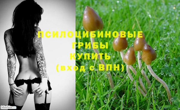 тгк Михайловка