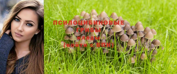 тгк Михайловка